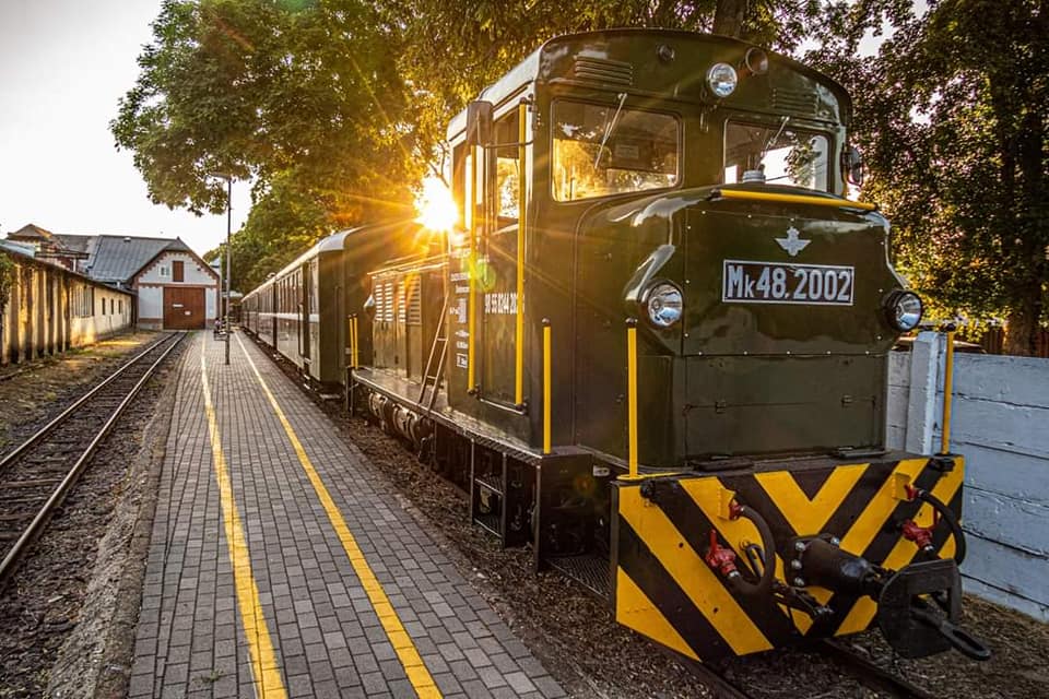 Zsuzsi Forest Railway