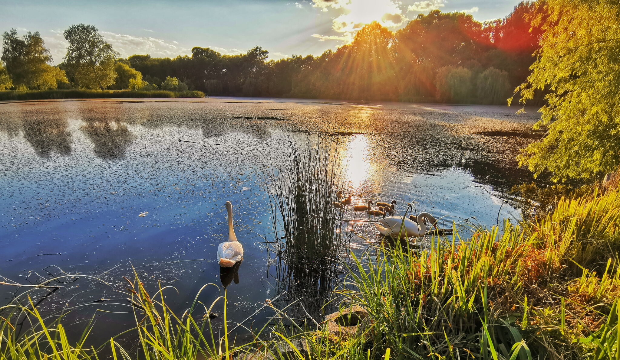 Vekeri Lake